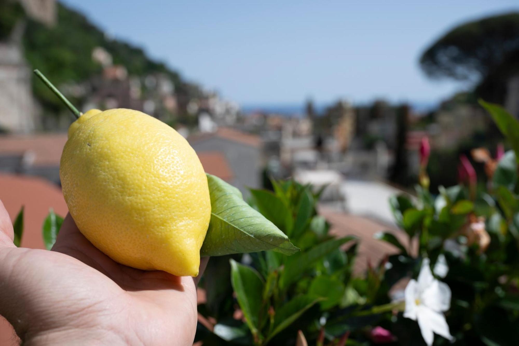 Affittacamere Valle D'amalfi